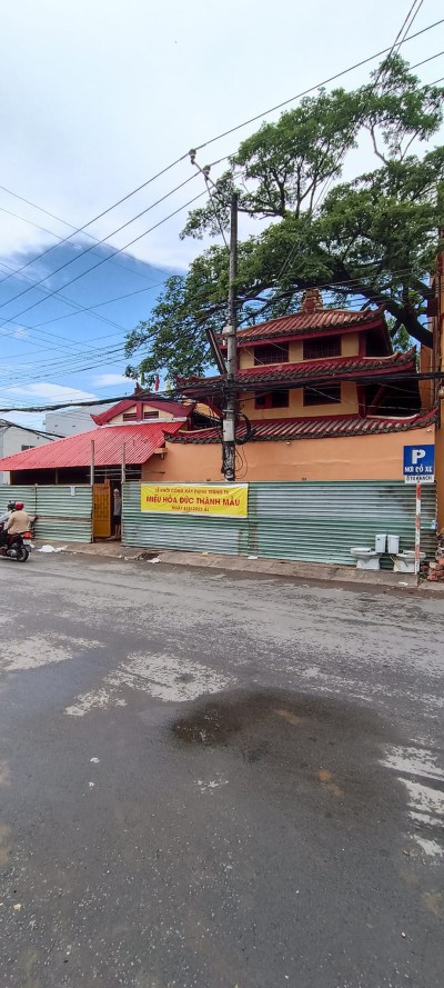 nang mieu ba len cao 1m tai soc trang 1