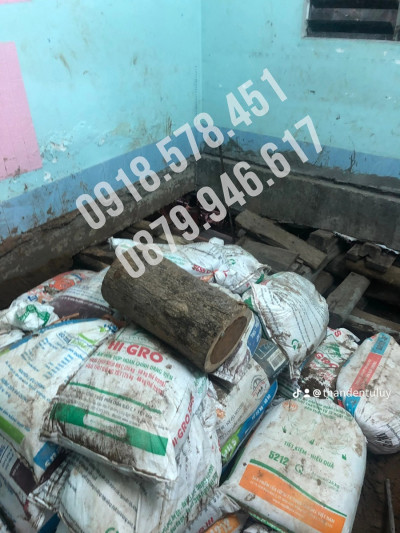 cong trinh nang len cao 15m tai go den long an 3