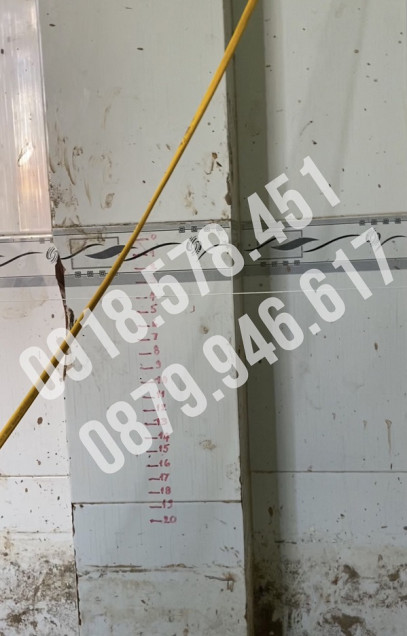 nang nha 2 tang len cao 60cm tai tp can tho 6